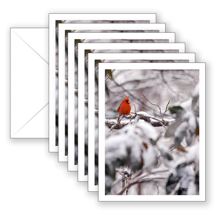 Missy's Red Bird Boxed Set
