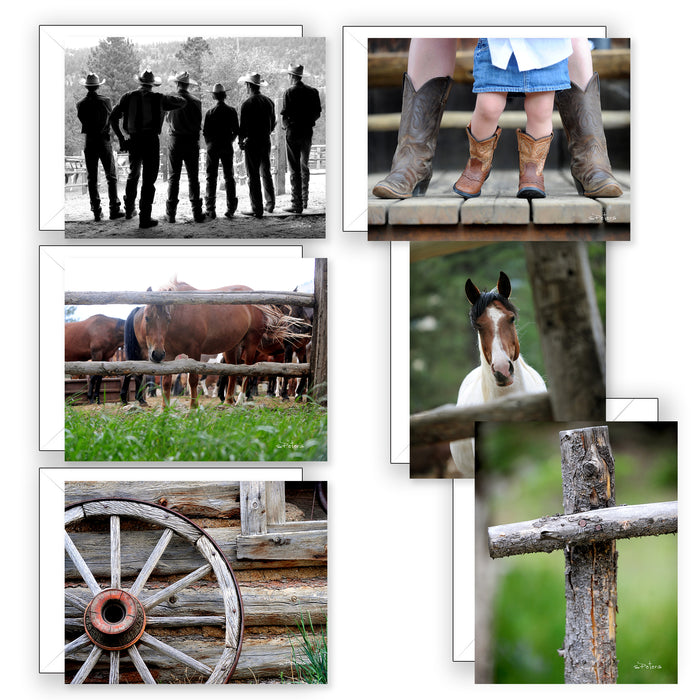 Ranch Collection Boxed Set