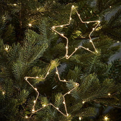 15cm Gold Osby Star Light Duo