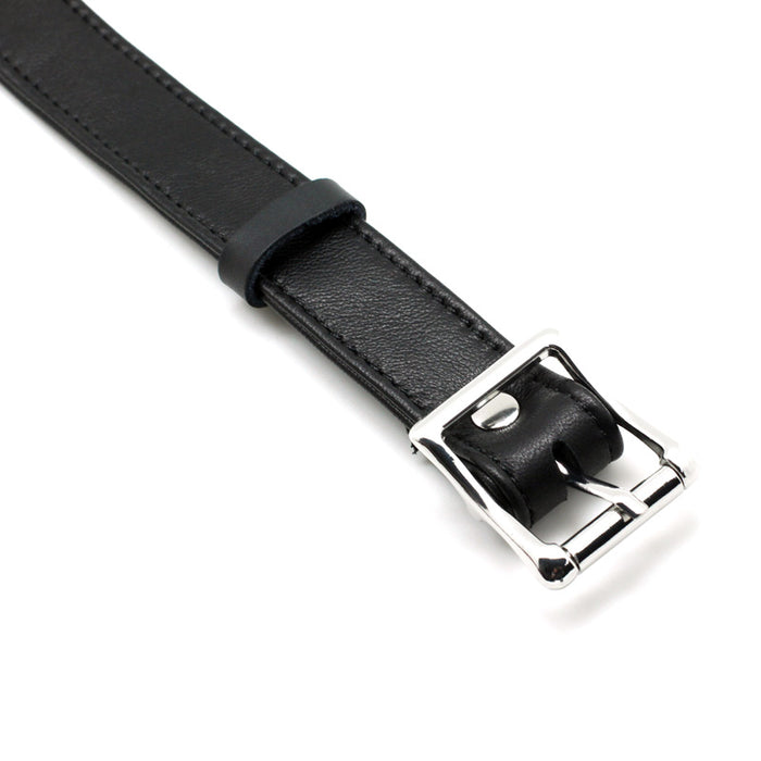 buckle on collar on display