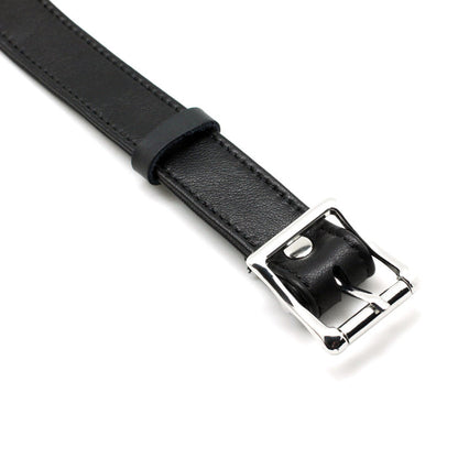 buckle on collar on display