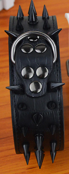 collar on display