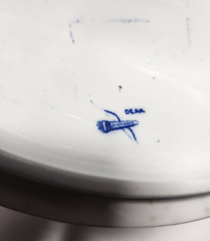 Blue a nd white soups Tureen