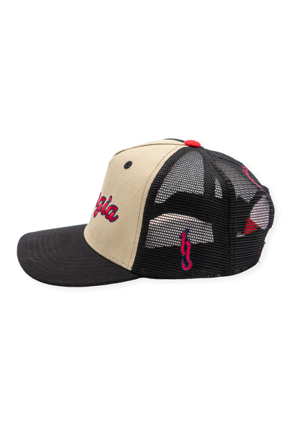 [ Brantley Gilbert x Gwinnett Stripers ] Georgia Driver - Official League