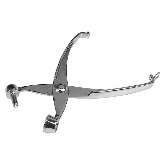 Cherry & Olive Pitter