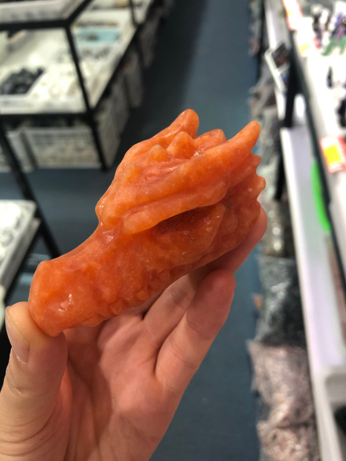 Dragon head