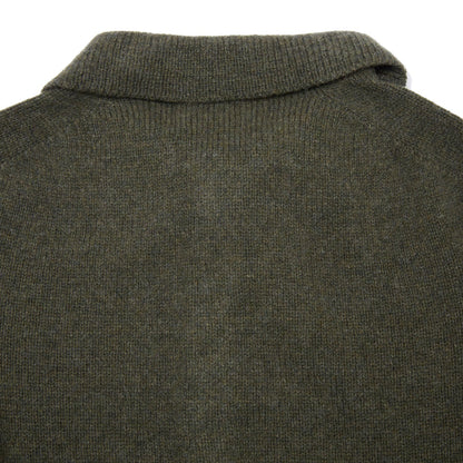 Harley Lambswool Knit Polo Jumper in Loden