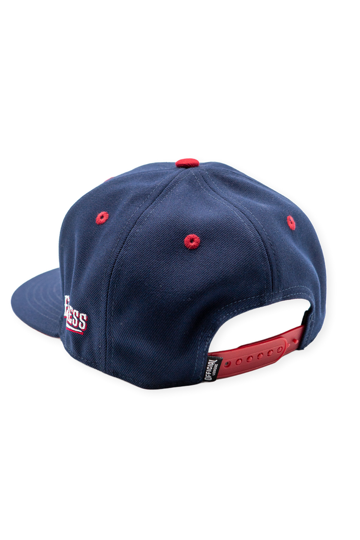 Koe Wetzel x Round Rock Express Natural hat back