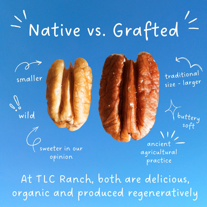 Organic Pecans