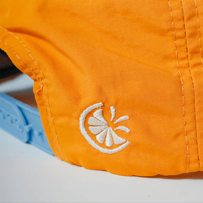 [ Orlando Squeeze ] Orange Grove