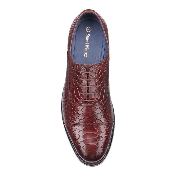 Oxford Shoe - Croc Burgundy