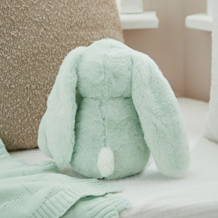 Personalised Mint Choc Chip Bunny Soft Toy