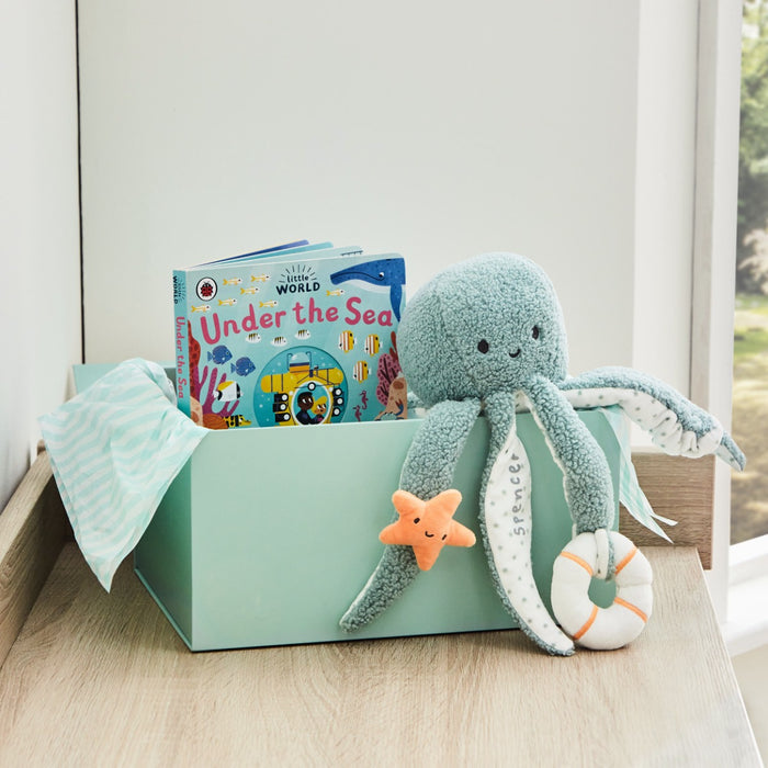 Personalised Under the Sea Read & Cuddle Gift Set