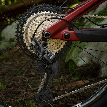 Close-up of a bicycle's gear system with a blurred natural background