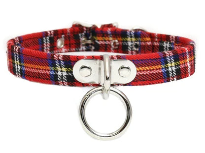 collar on display