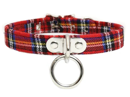 collar on display