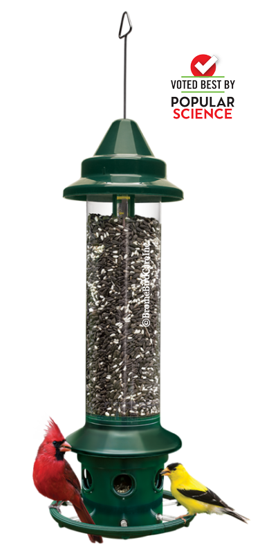 Squirrel Buster Feeders - Brome