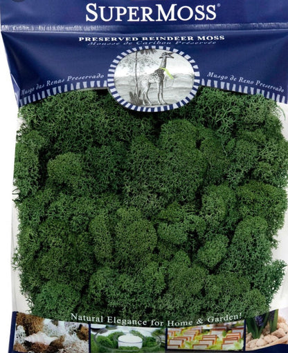 Super Moss Preserved Reindeer Moss