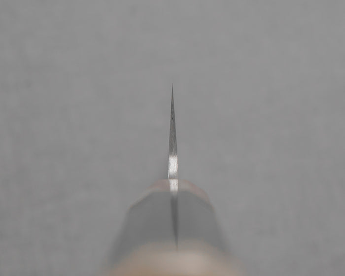TSR2SDPPT130GENW004.jpg