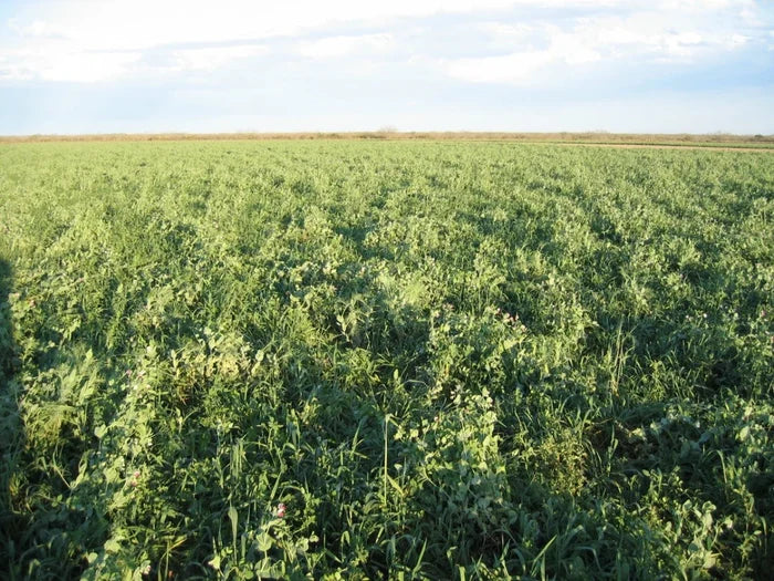 Tecomate Max-Attract — Deer & Turkey Food Plot Seed - Seed World