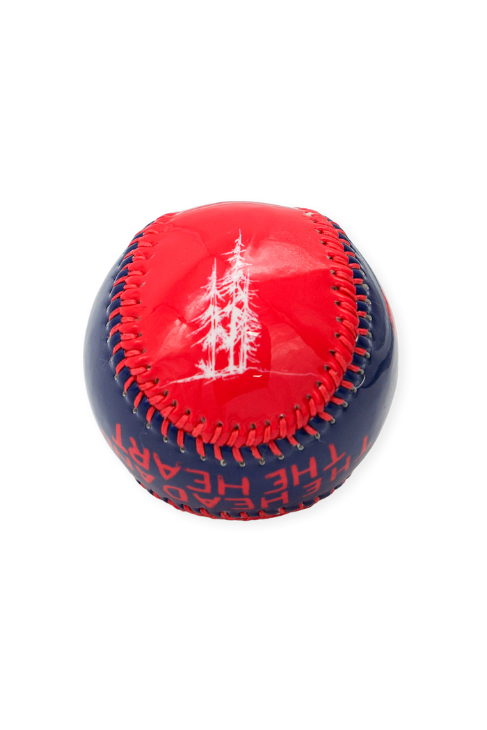 The Head and the Heart x Tacoma Rainiers Evergreen Baseball