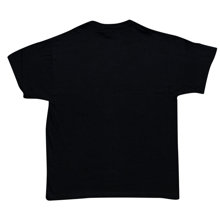 Thundercats Distressed Logo Black T-Shirt - TVStoreOnline