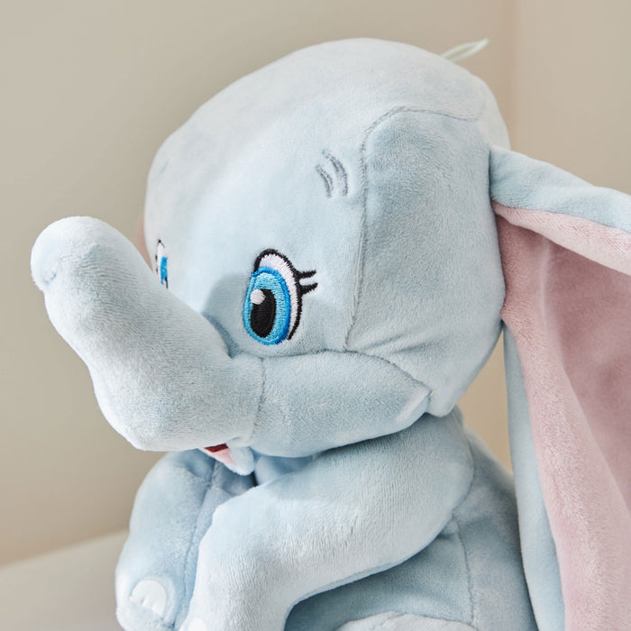 TY Personalised Dumbo Plush Soft Toy